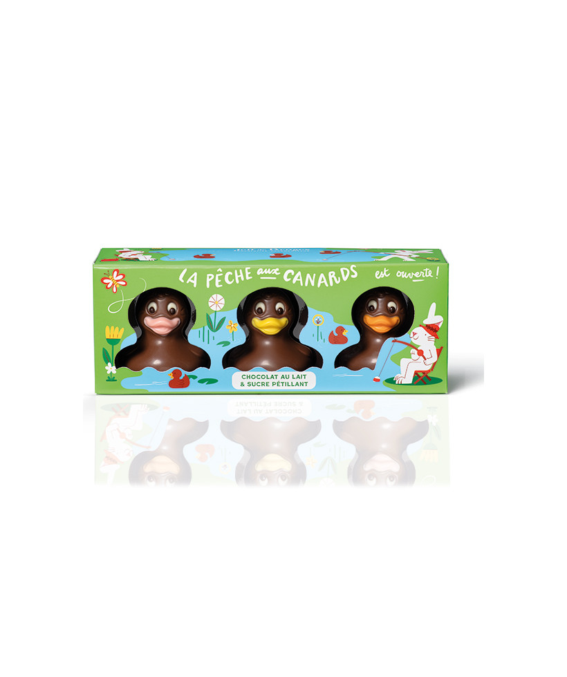 BOITE 3 CANARDS